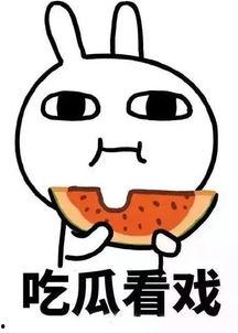 娱乐吃瓜酱什么都能记住,记忆力惊人，无所不知的娱乐圈百科全书